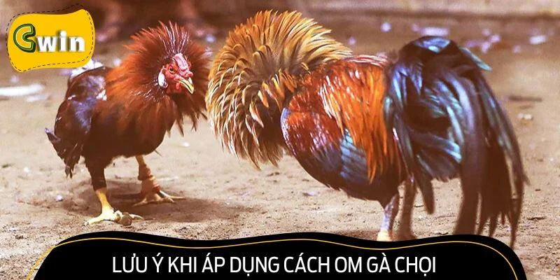 Nguyên tắc vàng cần lưu ý khi chăm sóc chiến kê