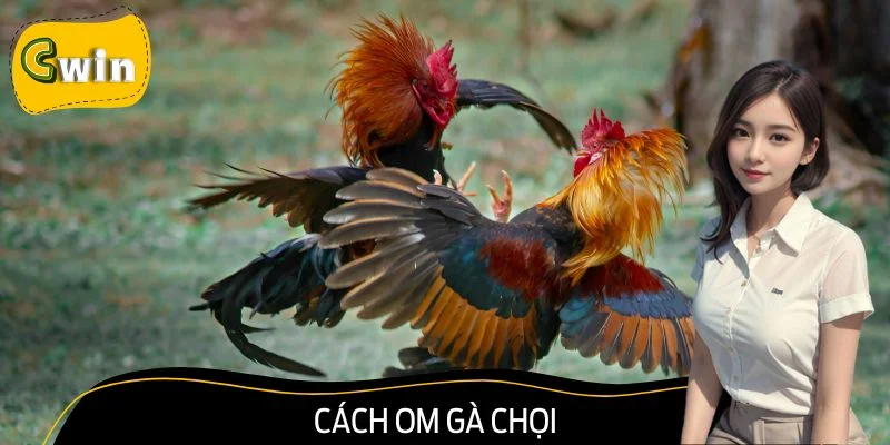 Cách Om Gà Chọi Hiệu Quả Để Chiến Kê Sung Mãn Trước Ngày Đấu