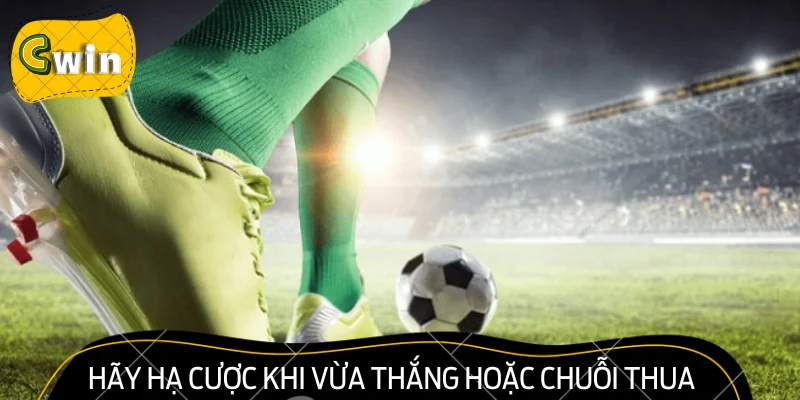 Hãy hạ cược khi vừa thắng hoặc chuỗi thua