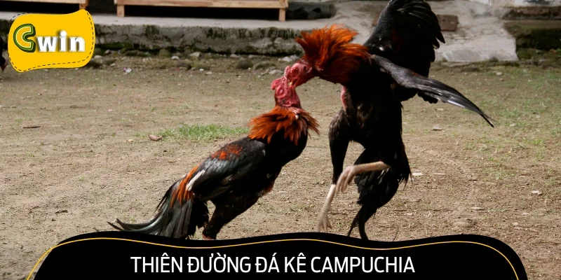 Thiên đường đá kê Campuchia siêu hấp dẫn