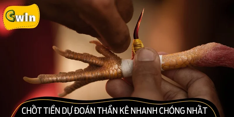 Chốt tiền dự đoán thần kê nhanh chóng nhất
