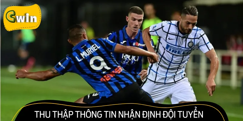 Thu thập thông tin về đội tuyển