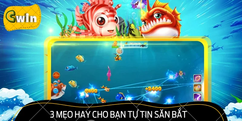 3 mẹo hay cho bạn tự tin săn bắt