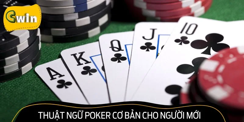 Thuật ngữ Poker cơ bản dành cho tấm chiếu mới